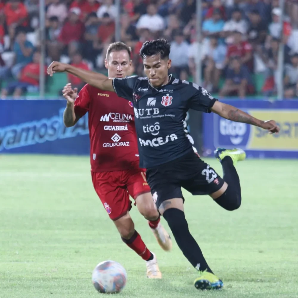 WhatsApp Image 2023-12-11 at 15.40.29