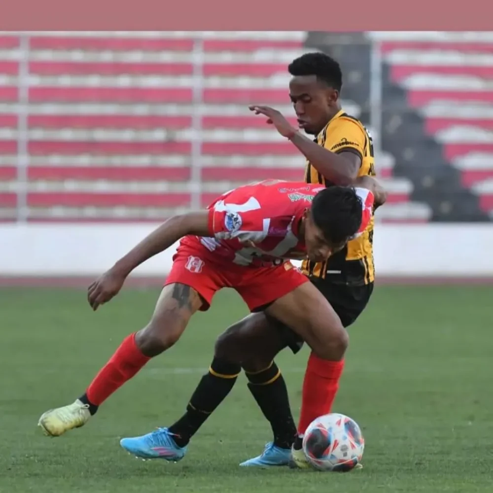 WhatsApp Image 2023-12-11 at 15.40.30-2