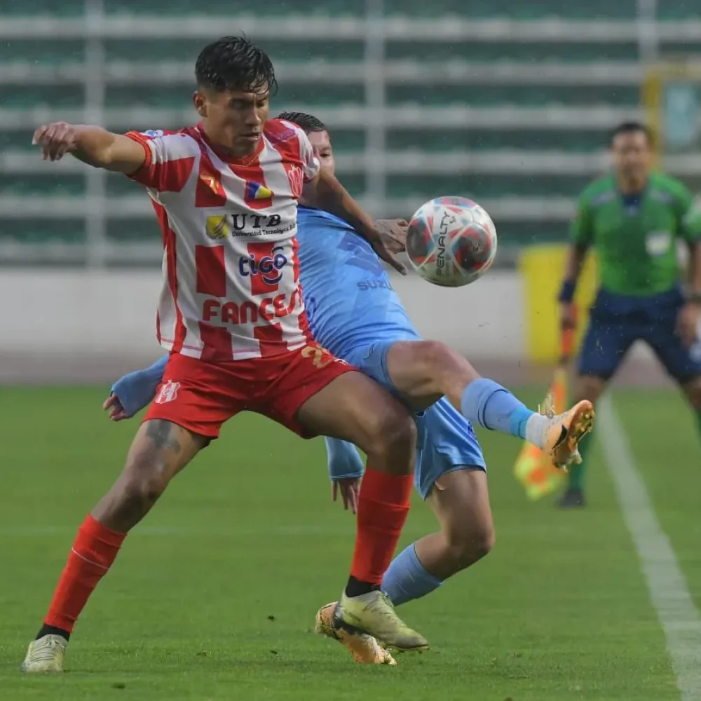 WhatsApp Image 2023-12-11 at 15.40.30-3