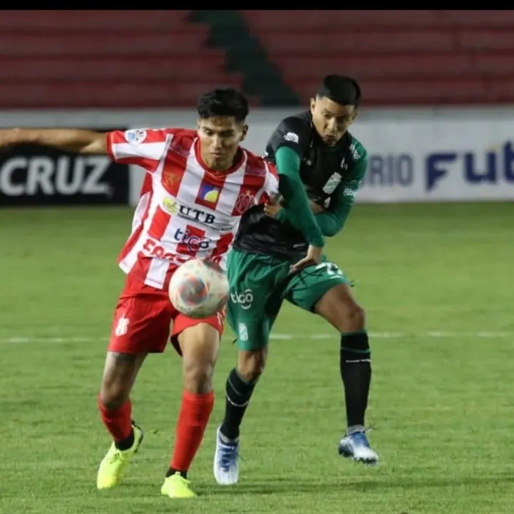 WhatsApp Image 2023-12-11 at 15.40.31