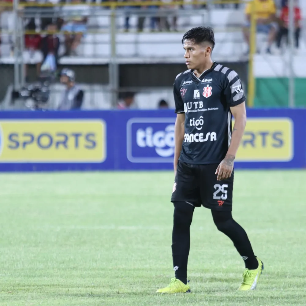 WhatsApp Image 2023-12-11 at 15.40.51